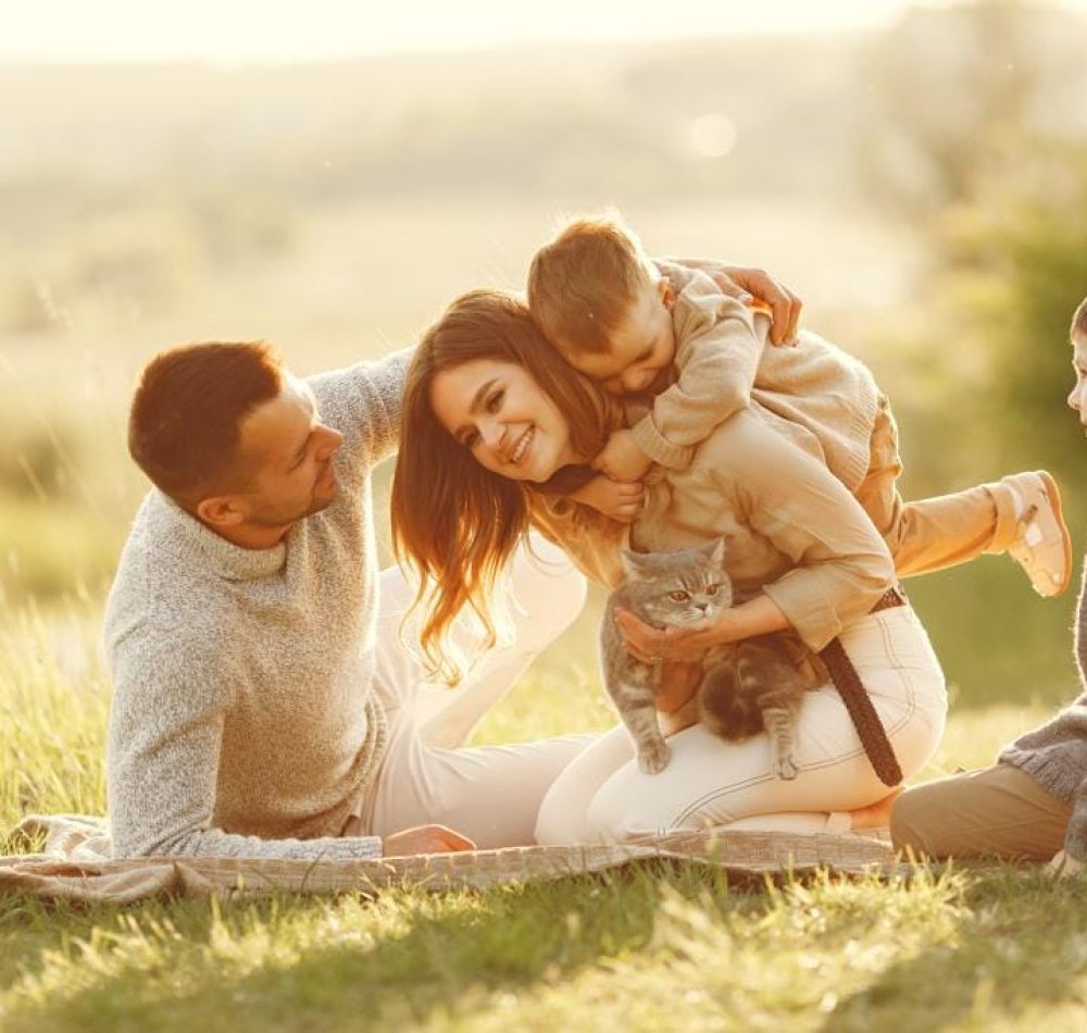 Beautiful family with two young boys playing in summer field