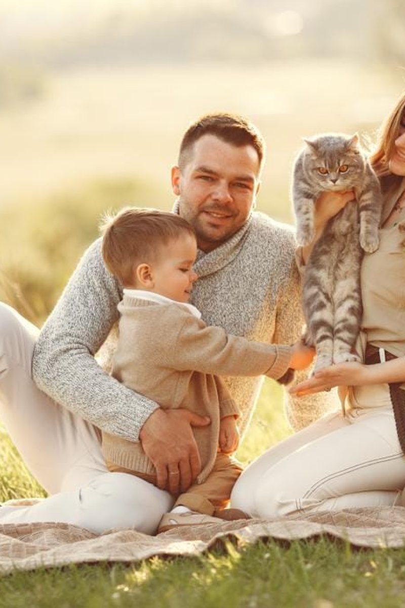 Loving family with two young boys and a cat in a beautiful field